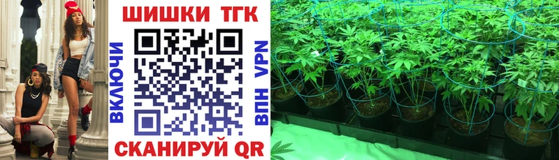 Где продают наркотики Новодвинск Псилоцибиновые грибы Кокаин ГАШ А ПВП Меф мяу мяу Канабис