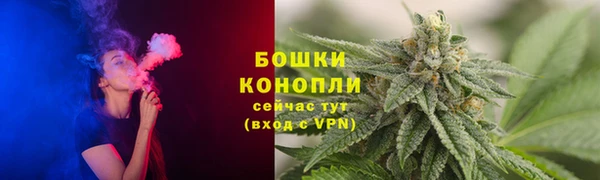 сатива Алексин