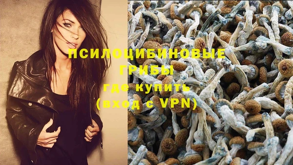 сатива Алексин
