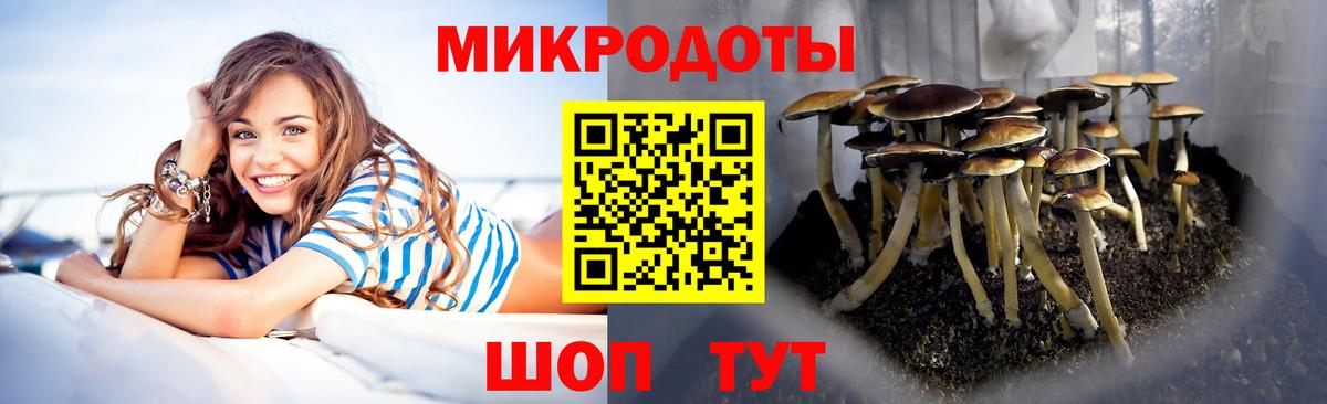 Галлюциногенные грибы Magic Shrooms  Псилоцибиновые грибы мухоморы  Новодвинск  Вход с VPN 