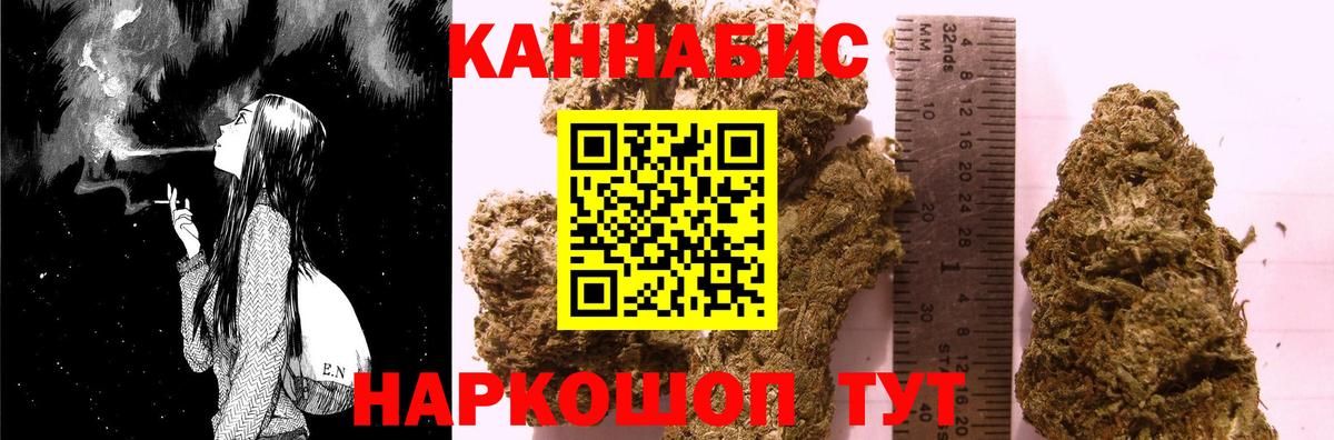 Бошки марихуана план Новодвинск